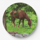 Search for horse paper plates Green