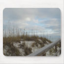 Search for boardwalk electronics Photography