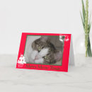 Search for merry meow christmas cards Cats