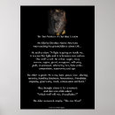 Search for two wolves story art Grey wolf eyes