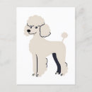 Search for poodle postcards Animals