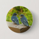 Search for barn badges Nature