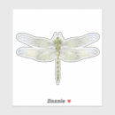 Search for big bug stickers Ladybug