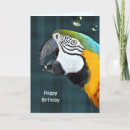 Search for macaw birthday cards Bird