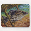 Search for crappie mousepads Fishing