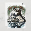 Search for water reflection postcards Wilderness