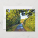 Search for puddle postcards Autumn