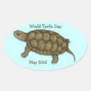 Search for protect the environment stickers Turtle