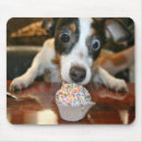 Search for pups mousepads Animals