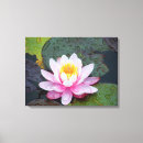 Search for raindrop canvas prints Photography