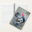 Search for bantams Cochin