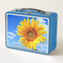 Search for lunch boxes Nature