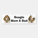 Search for hound bumper stickers Beagles