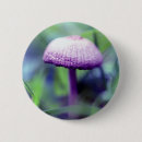 Search for faeries badges Mushroom