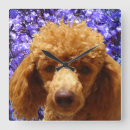 Search for pink poodle art Dogs