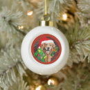Search for pet supplies Animal