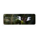 Search for male return address labels Wings