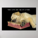 Search for sleeping dog posters Quote