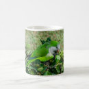 Search for green parakeet mugs Bird