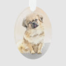Search for tibetan spaniel christmas tree decorations Pet