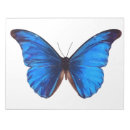 Search for butterfly post it notes Morpho