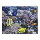 Search for aquarium office supplies Underwater