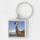 Search for western australia key rings Nature