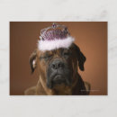 Search for frowning cards Humour