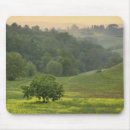Search for idyllic electronics Green