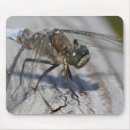 Search for damselflies mousepads Dragonflies
