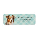 Search for australian shepherd return address labels Puppy