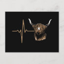 Search for highland cattle postcards Agriculture