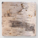 Search for birch tree coasters White