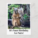 Search for go nuts postcards Funny birthday