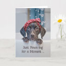 Search for german shorthaired pointer cards Dog