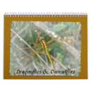 Search for dragonfly calendars Damselflies