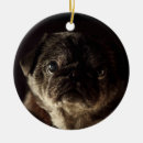 Search for black pug christmas tree decorations Dog