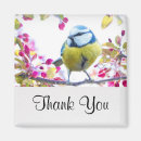 Search for pretty bird magnets Cute