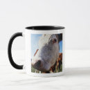 Search for cow head mugs Close up