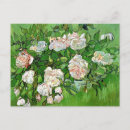 Search for vintage floral still life postcards Flowers