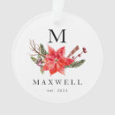 Search for greenery christmas tree decorations Mistletoe