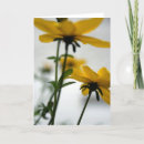 Search for turning cards Floral