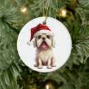 Search for dog pet memorial ornaments Memory