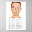 Search for skin care posters Facials