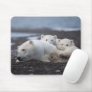 Search for polar bear mousepads Photography
