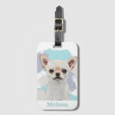 Search for chihuahua accessories Pets