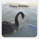 Search for black fish stickers Bird