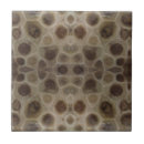 Search for fossil tiles Stone