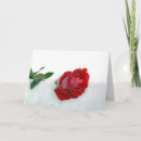 Search for winter rose cards Red
