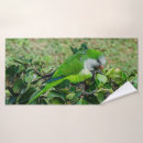 Search for parrot bath towels Bird